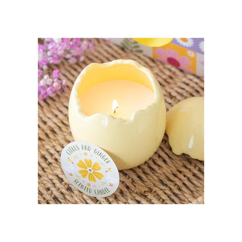Citrus & Ginger Egg Shaped Candle