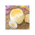 Citrus & Ginger Egg Shaped Candle