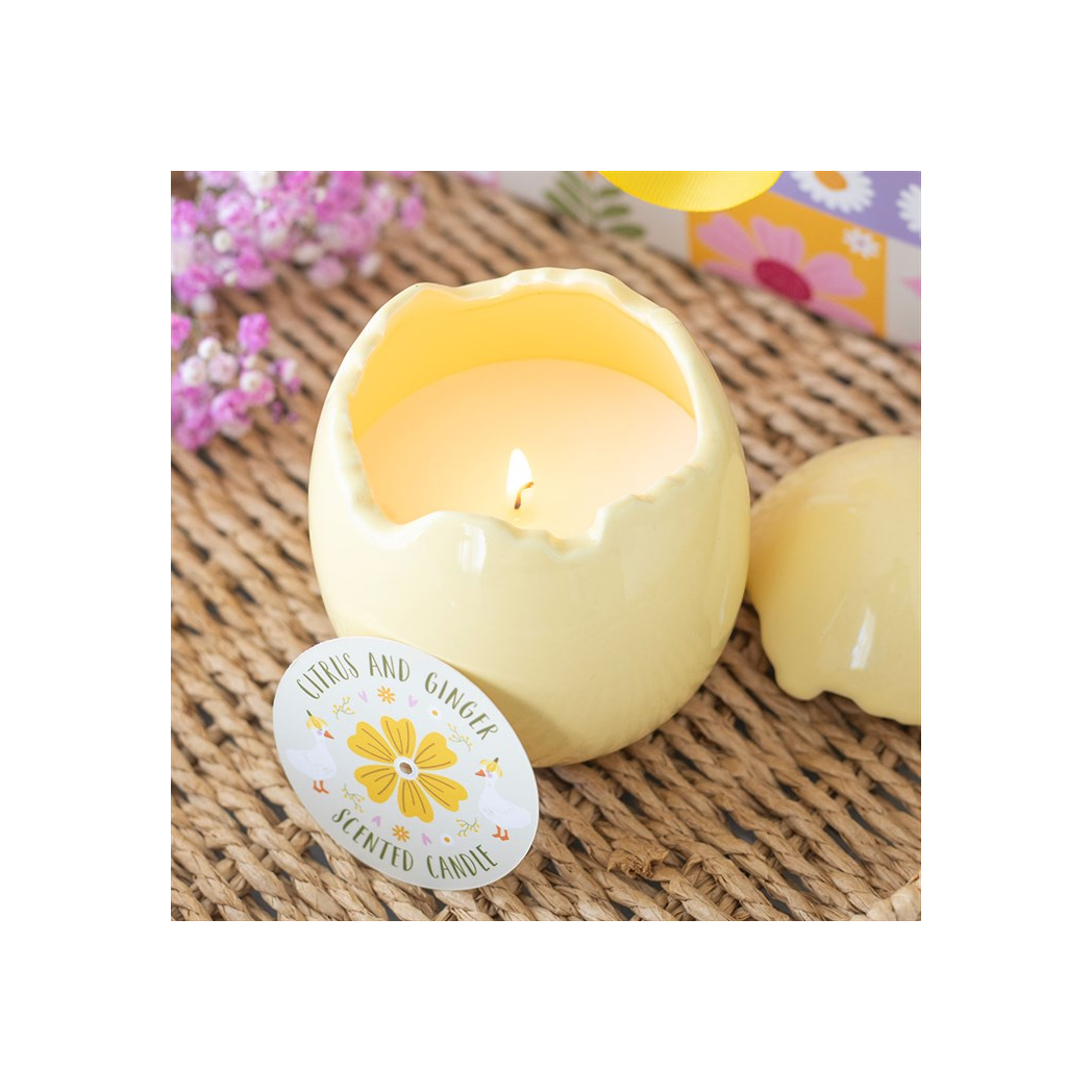 Citrus & Ginger Egg Shaped Candle