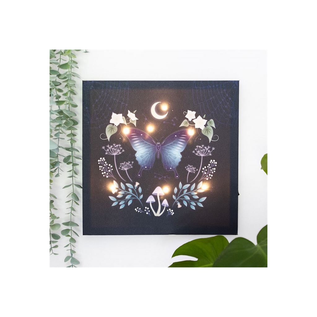 Midnight Moth Light Up Canvas Plaque