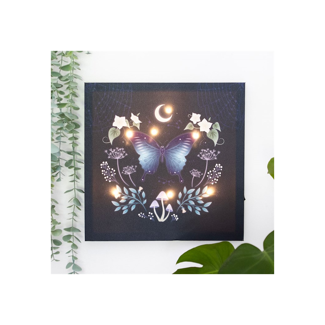 Midnight Moth Light Up Canvas Plaque