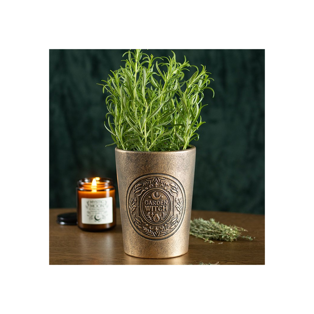 Garden Witch Bronze Effect Terracotta Plant Pot