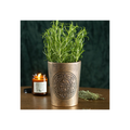 Garden Witch Bronze Effect Terracotta Plant Pot