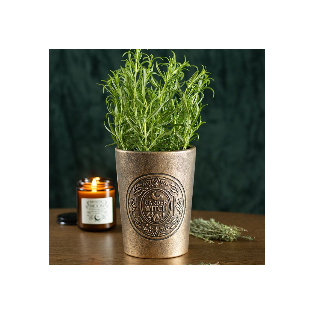 Garden Witch Bronze Effect Terracotta Plant Pot