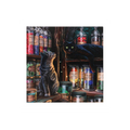 Magical Emporium Light Up Canvas Plaque by Lisa Parker
