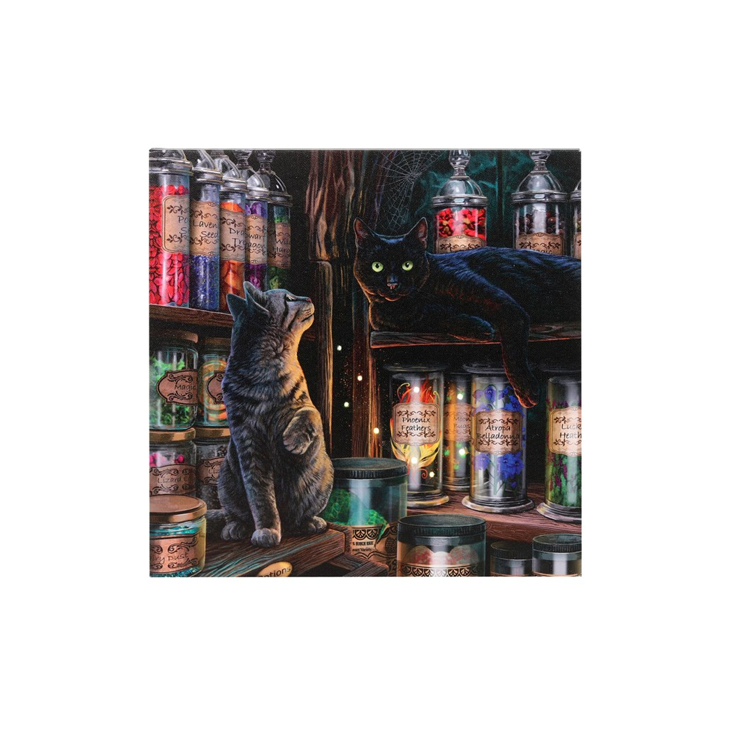 Magical Emporium Light Up Canvas Plaque by Lisa Parker