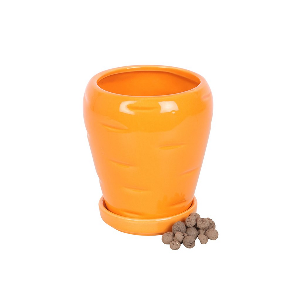 Carrot Shaped Plant Pot with Parsley Seed Balls