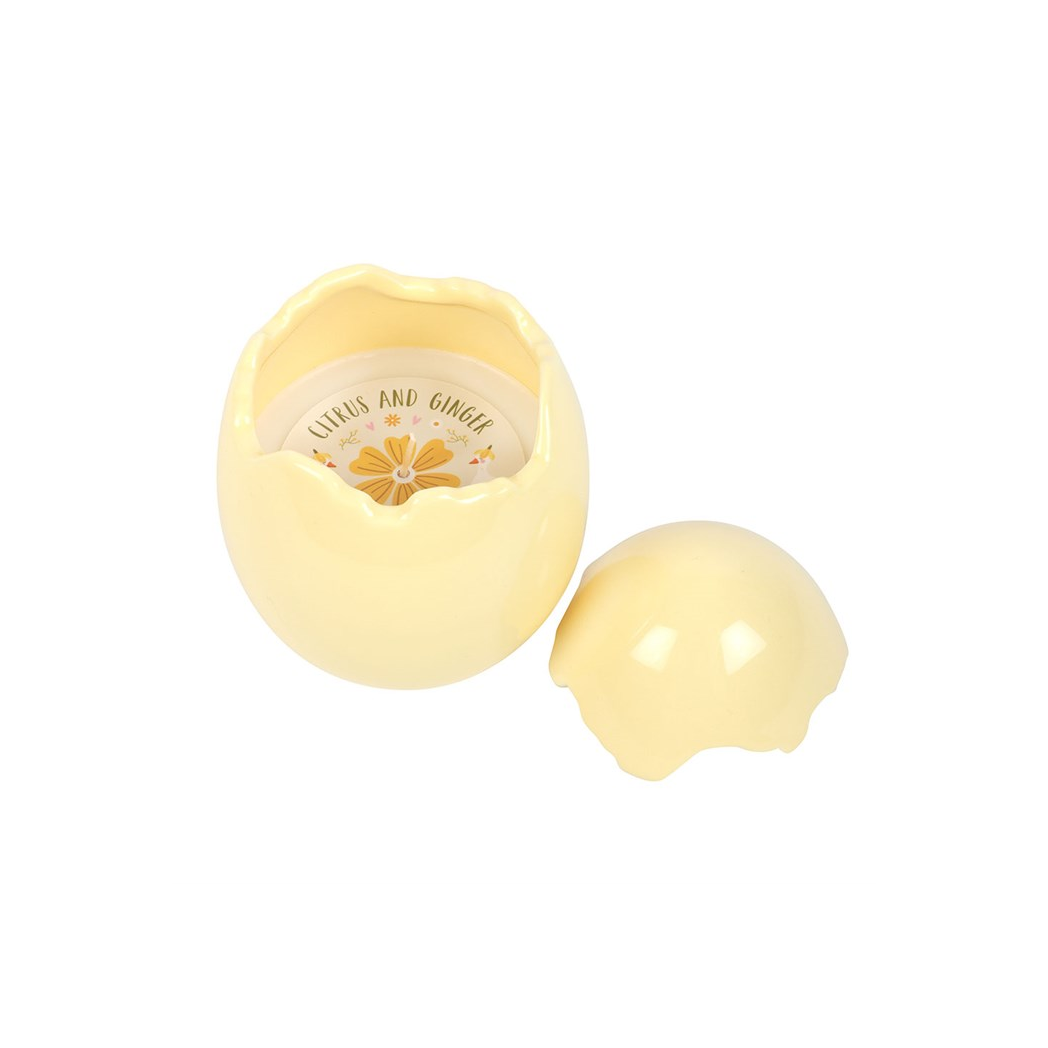 Citrus & Ginger Egg Shaped Candle