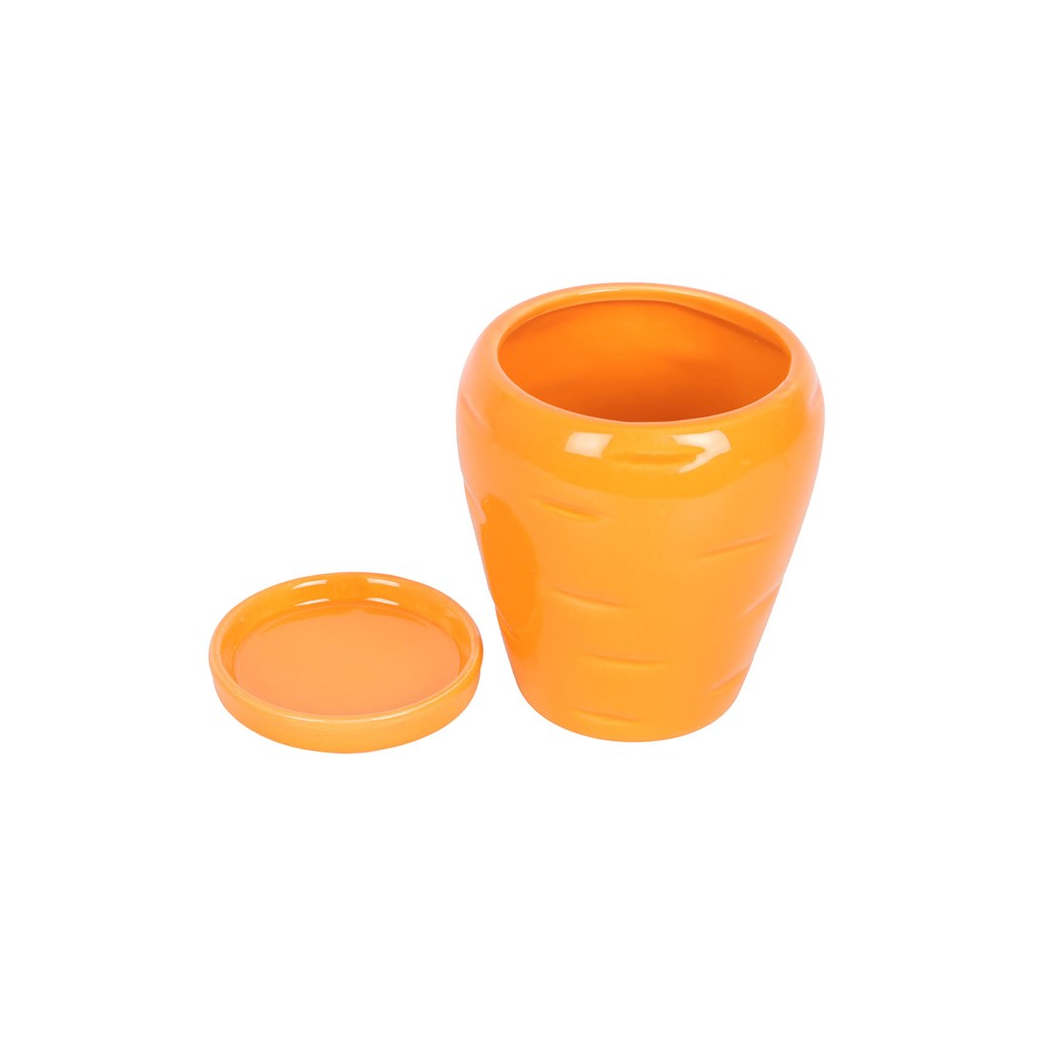 Carrot Shaped Plant Pot with Parsley Seed Balls