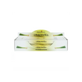 Set of 6 Packets of Elements Citronella Incense Sticks