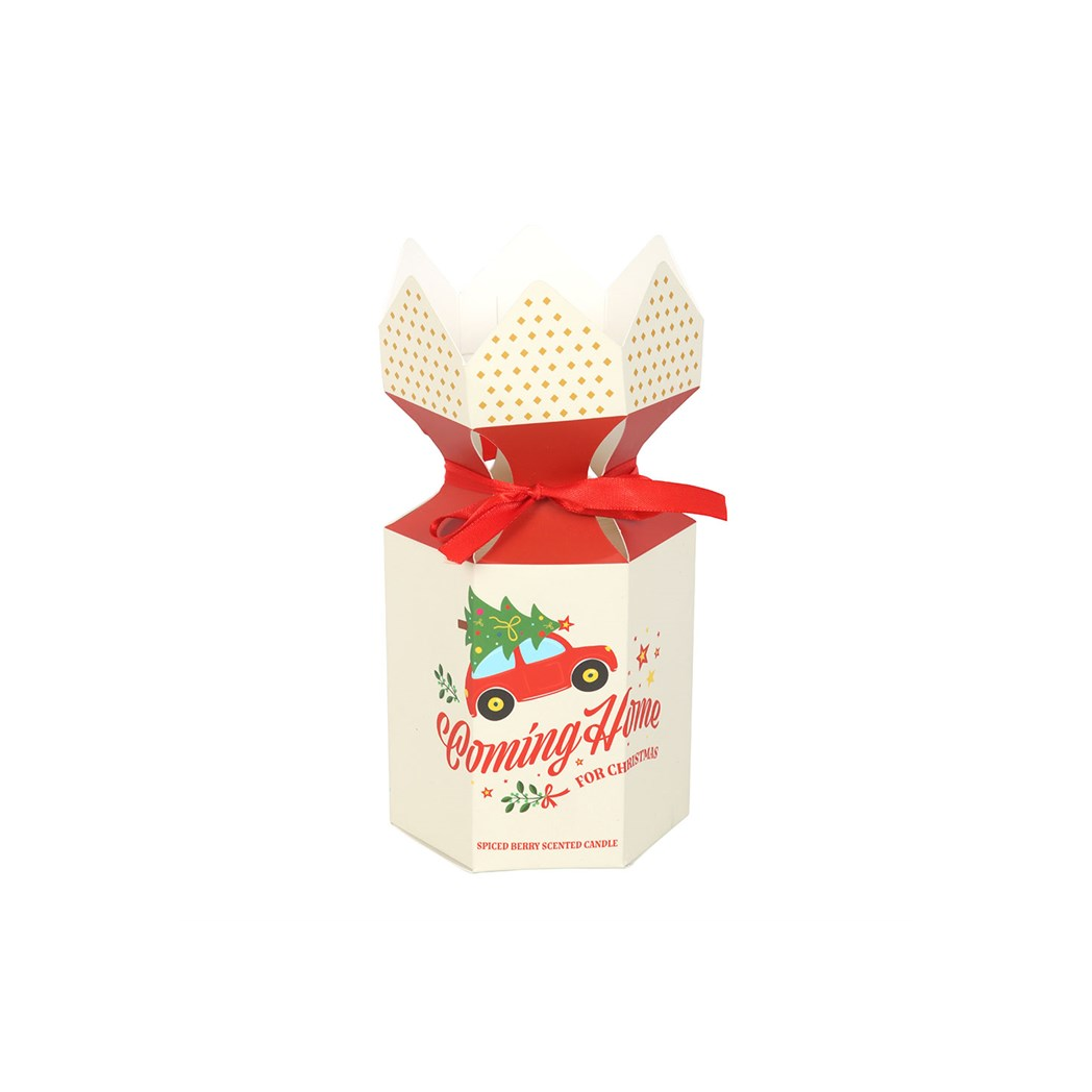 Coming Home for Christmas Spiced Berry Candle