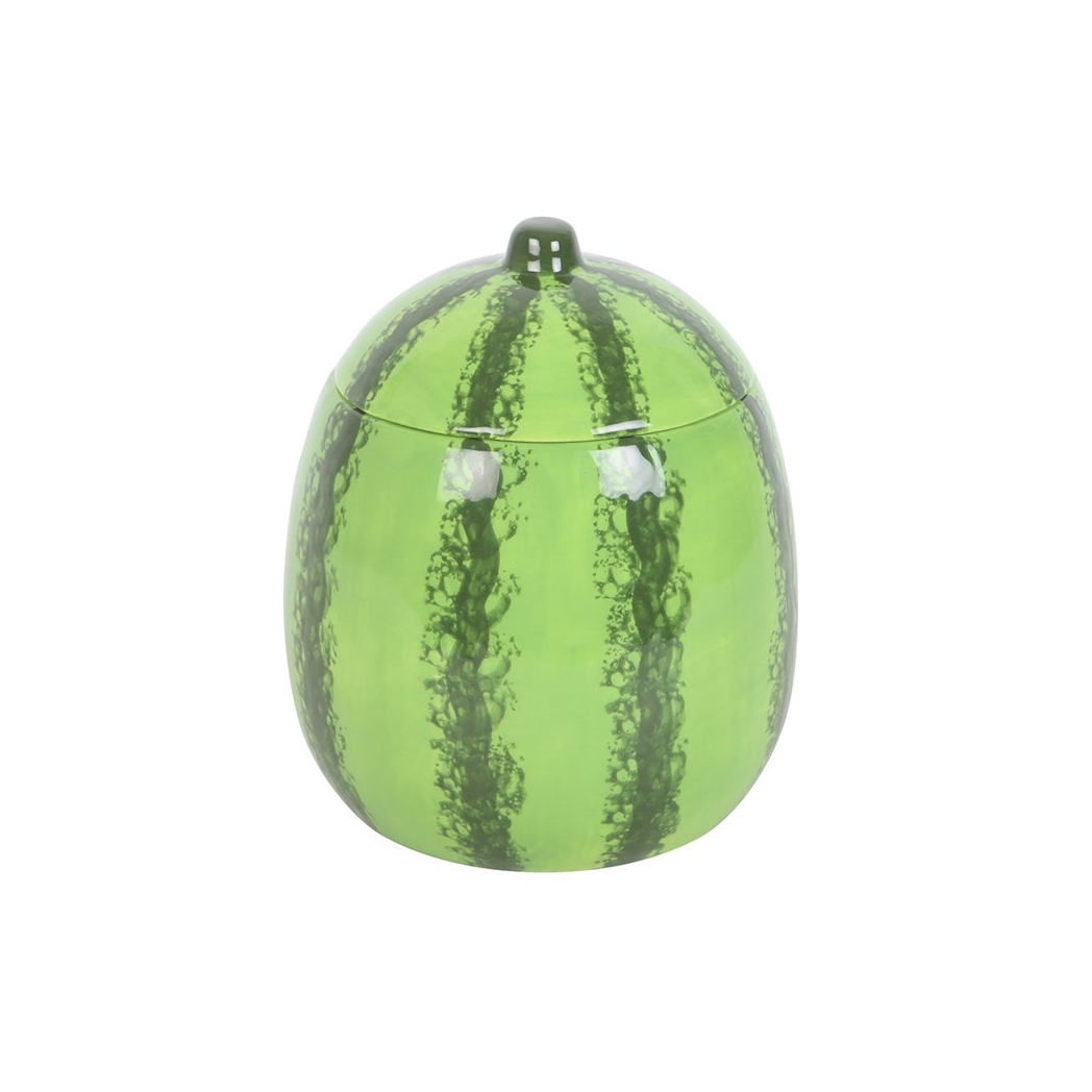 Watermelon Oil Burner and Wax Warmer