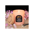 Mabon Apple Wheel of the Year Candle