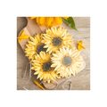 Sunflower Coaster Set