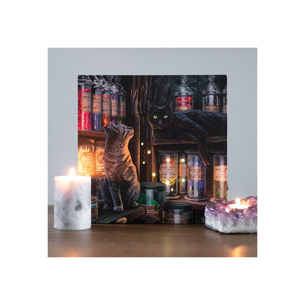 Magical Emporium Light Up Canvas Plaque by Lisa Parker