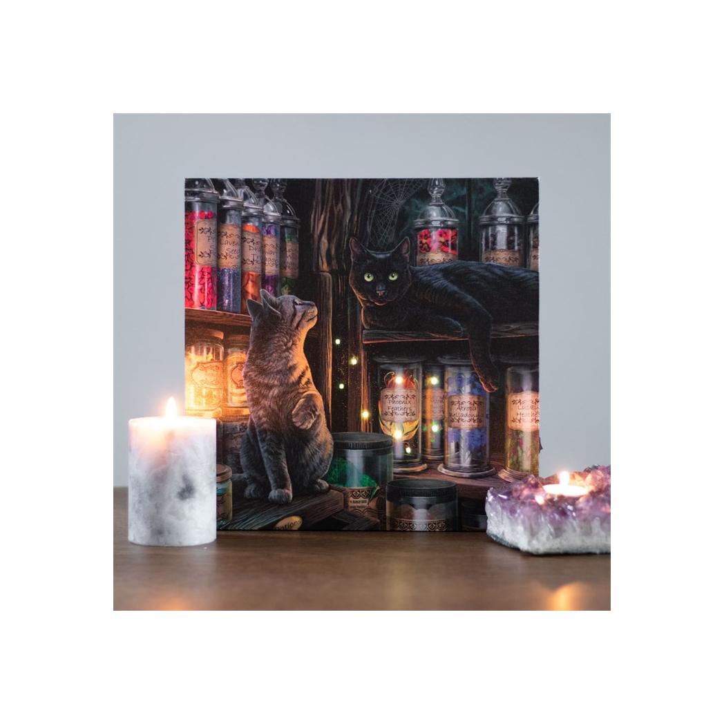 Magical Emporium Light Up Canvas Plaque by Lisa Parker