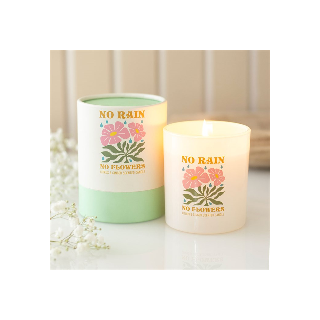 No Rain, No Flowers Citrus & Ginger Candle