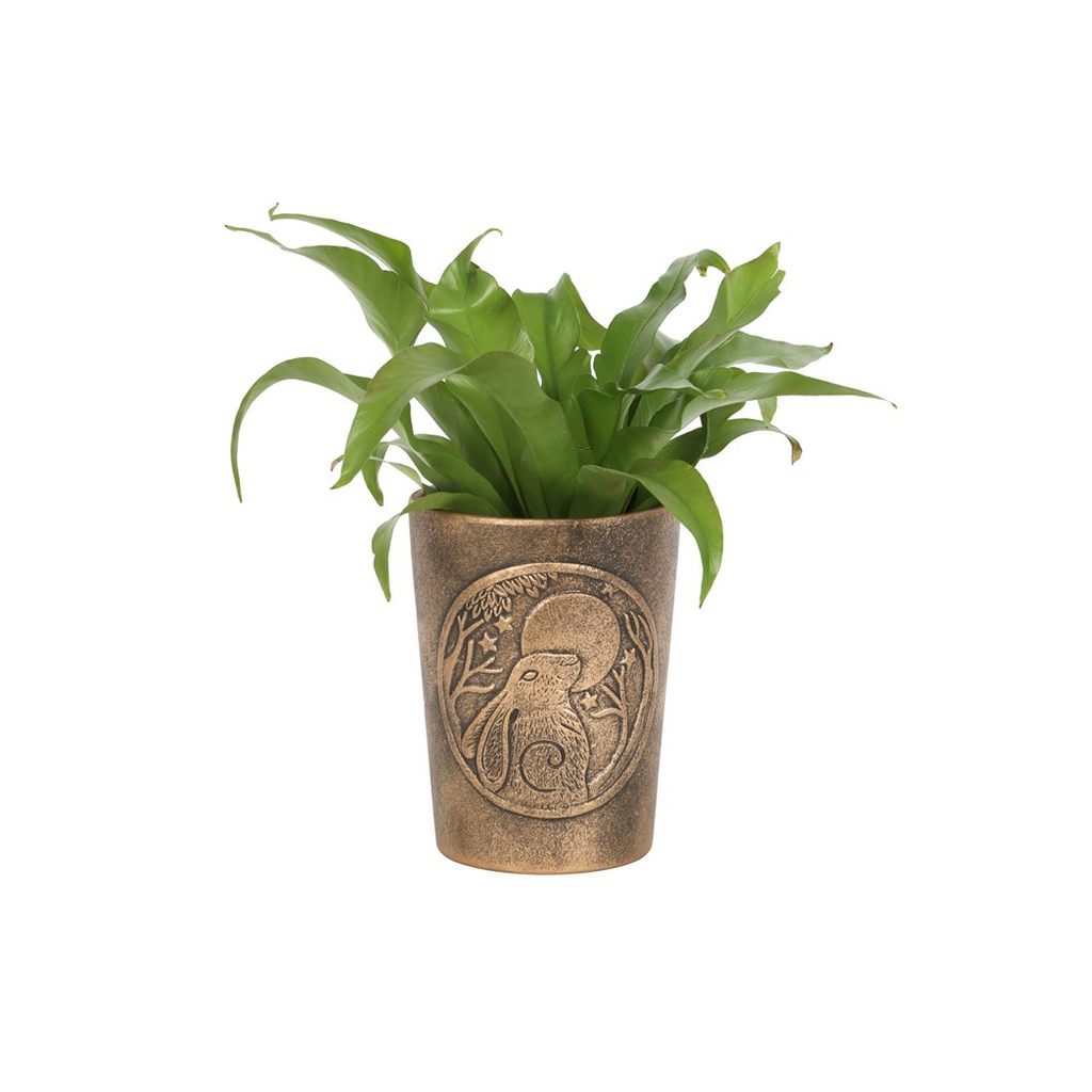 Moon Gazing Hare  Bronze Terracotta Plant Pot by Lisa Parker