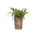 Moon Gazing Hare  Bronze Terracotta Plant Pot by Lisa Parker