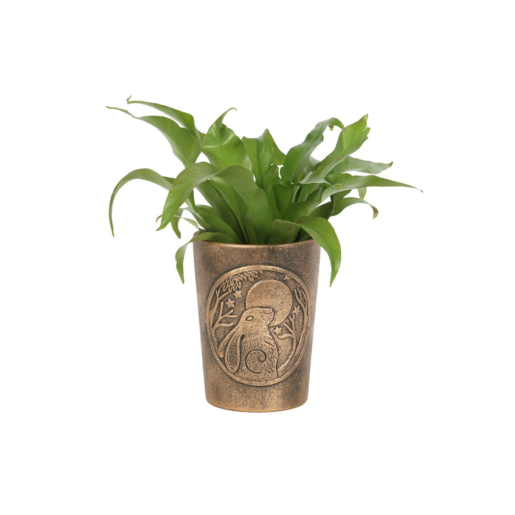 Moon Gazing Hare  Bronze Terracotta Plant Pot by Lisa Parker