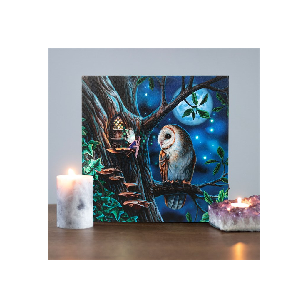 Fairy Tales Light Up Canvas Plaque by Lisa Parker