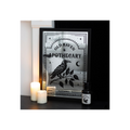 Old Raven Apothecary Mirrored Wall Art