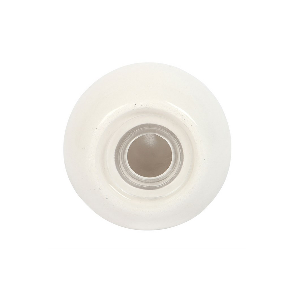 Clam Shell Salt and Pepper Shakers