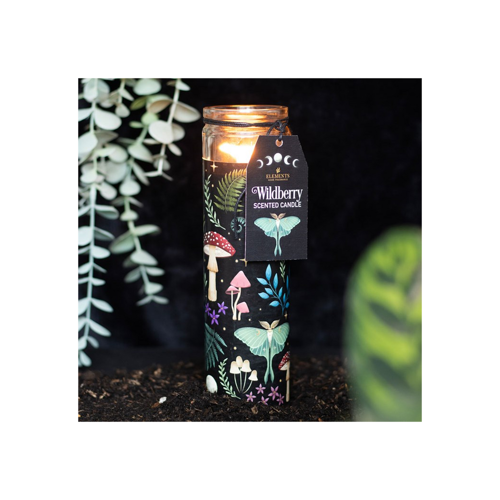 Dark Forest Wildberry Tube Candle