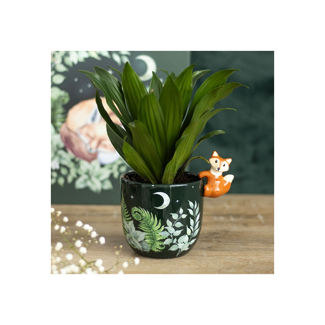 Green Forest Plant Pot with Fox