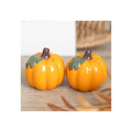 Pumpkin Salt and Pepper Shakers