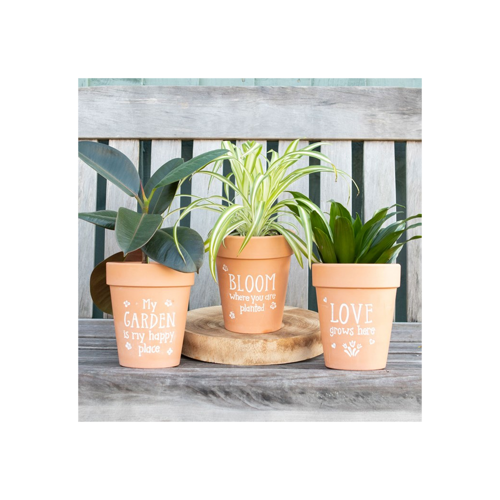 Bloom Where You Are Planted Terracotta Plant Pot