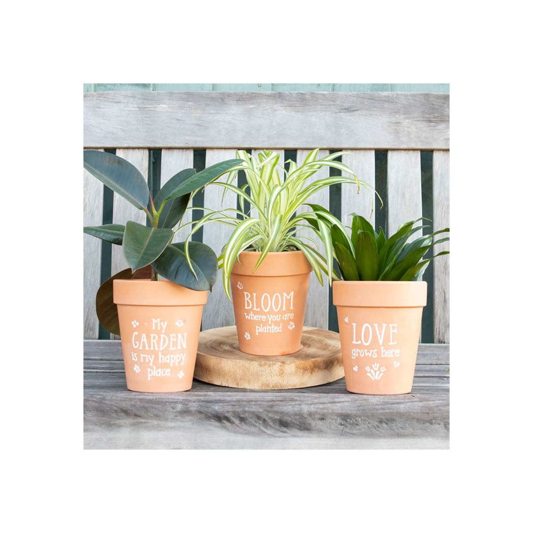 Bloom Where You Are Planted Terracotta Plant Pot