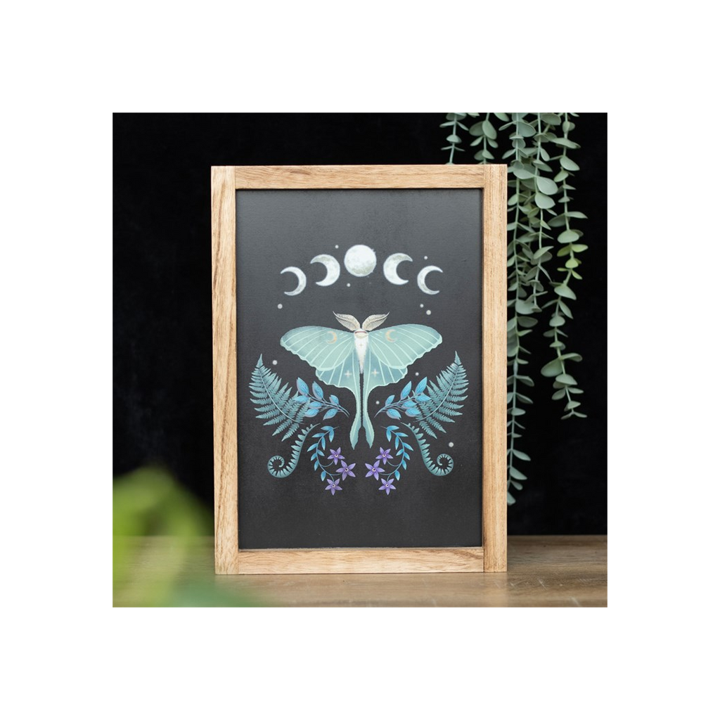 Luna Moth Wooden Framed Wall Art