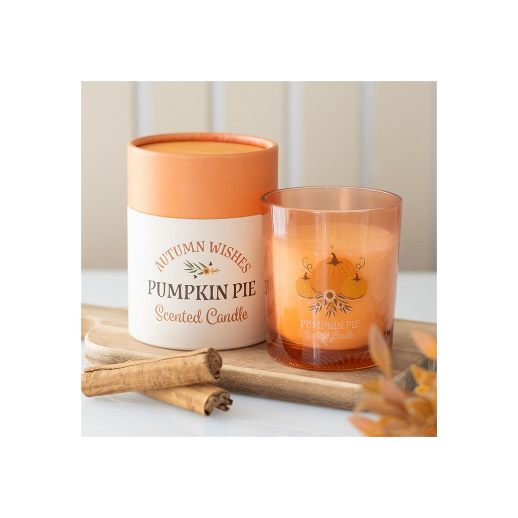 Autumn Wishes Pumpkin Pie Candle