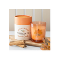 Autumn Wishes Pumpkin Pie Candle
