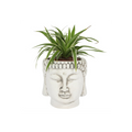 White Terracotta Buddha Head Planter