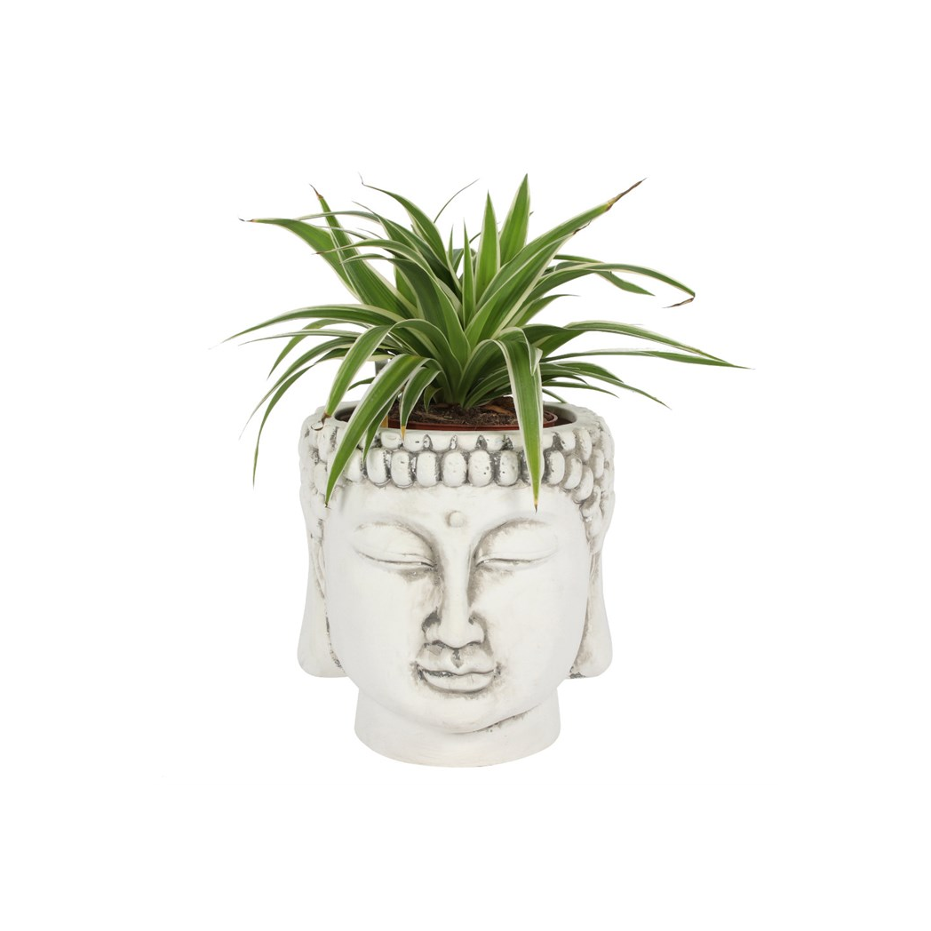 White Terracotta Buddha Head Planter