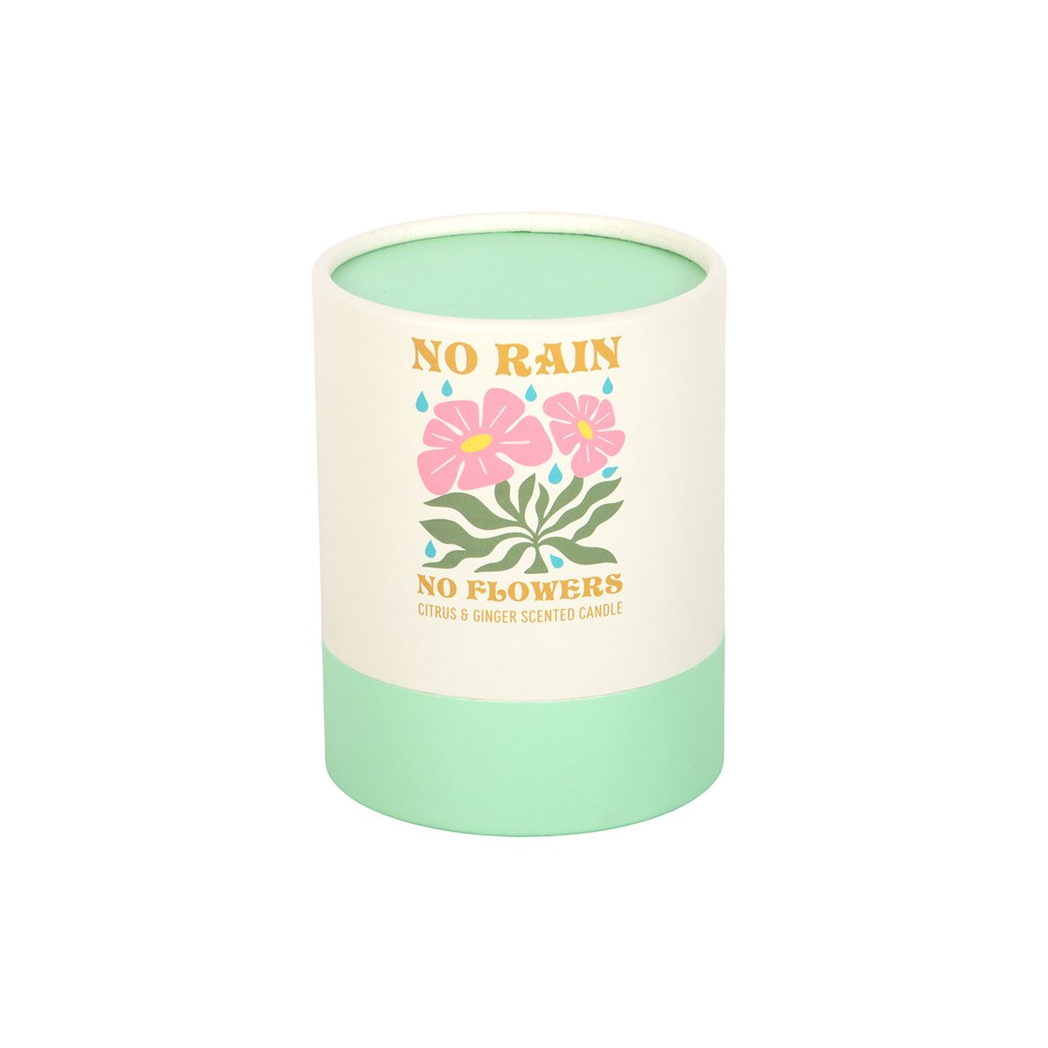 No Rain, No Flowers Citrus & Ginger Candle