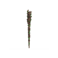 Man of the Wood Wand