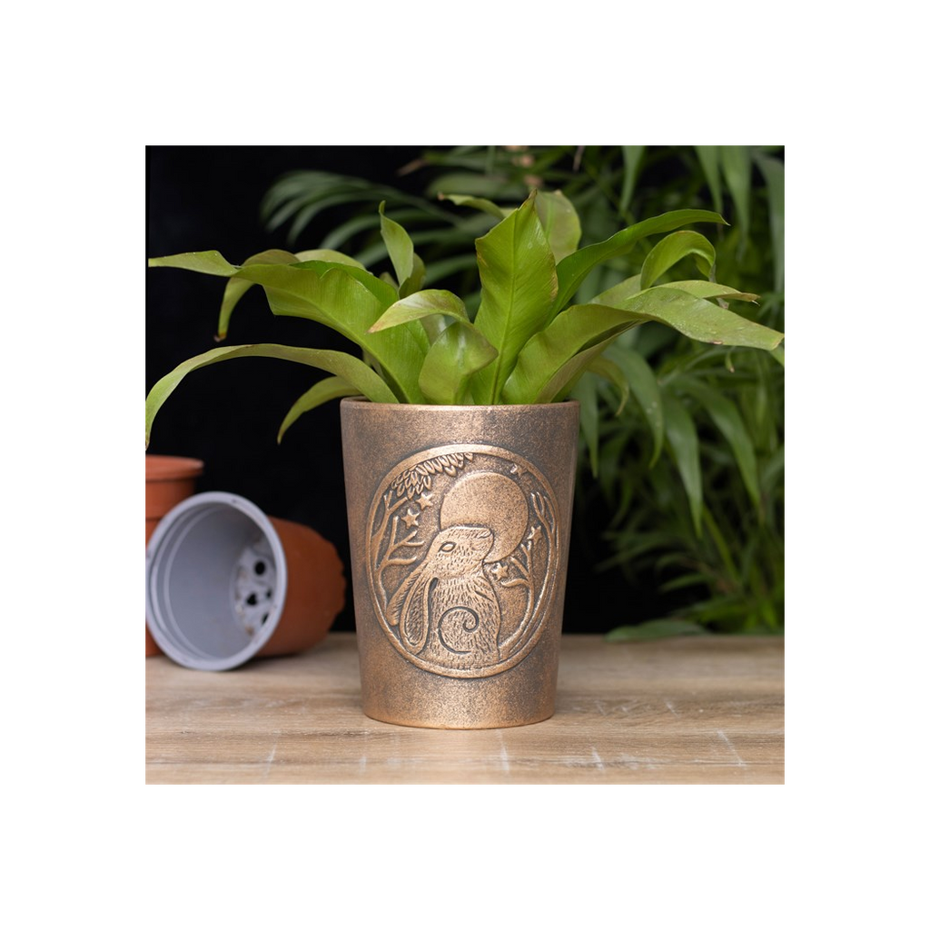Moon Gazing Hare  Bronze Terracotta Plant Pot by Lisa Parker