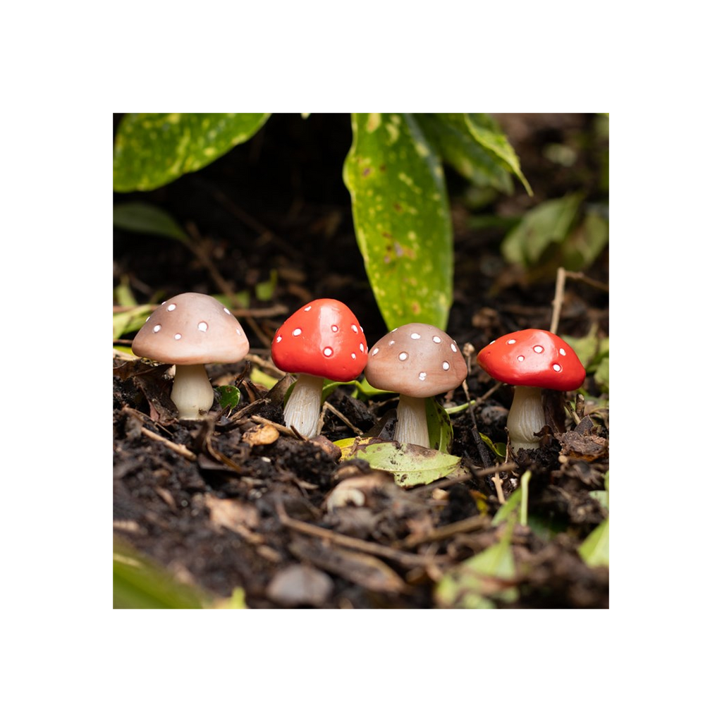Set of 4 Mini Mushroom Plant Pot Pals