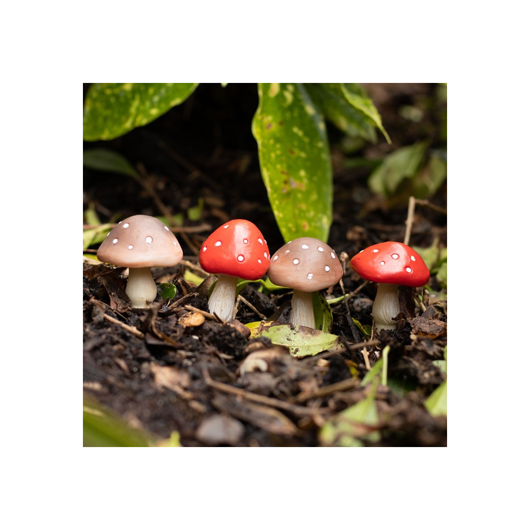 Set of 4 Mini Mushroom Plant Pot Pals