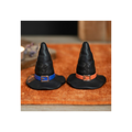Witch Hat Salt And Pepper Shakers