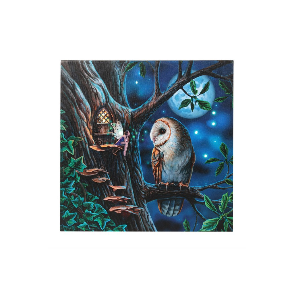 Fairy Tales Light Up Canvas Plaque by Lisa Parker