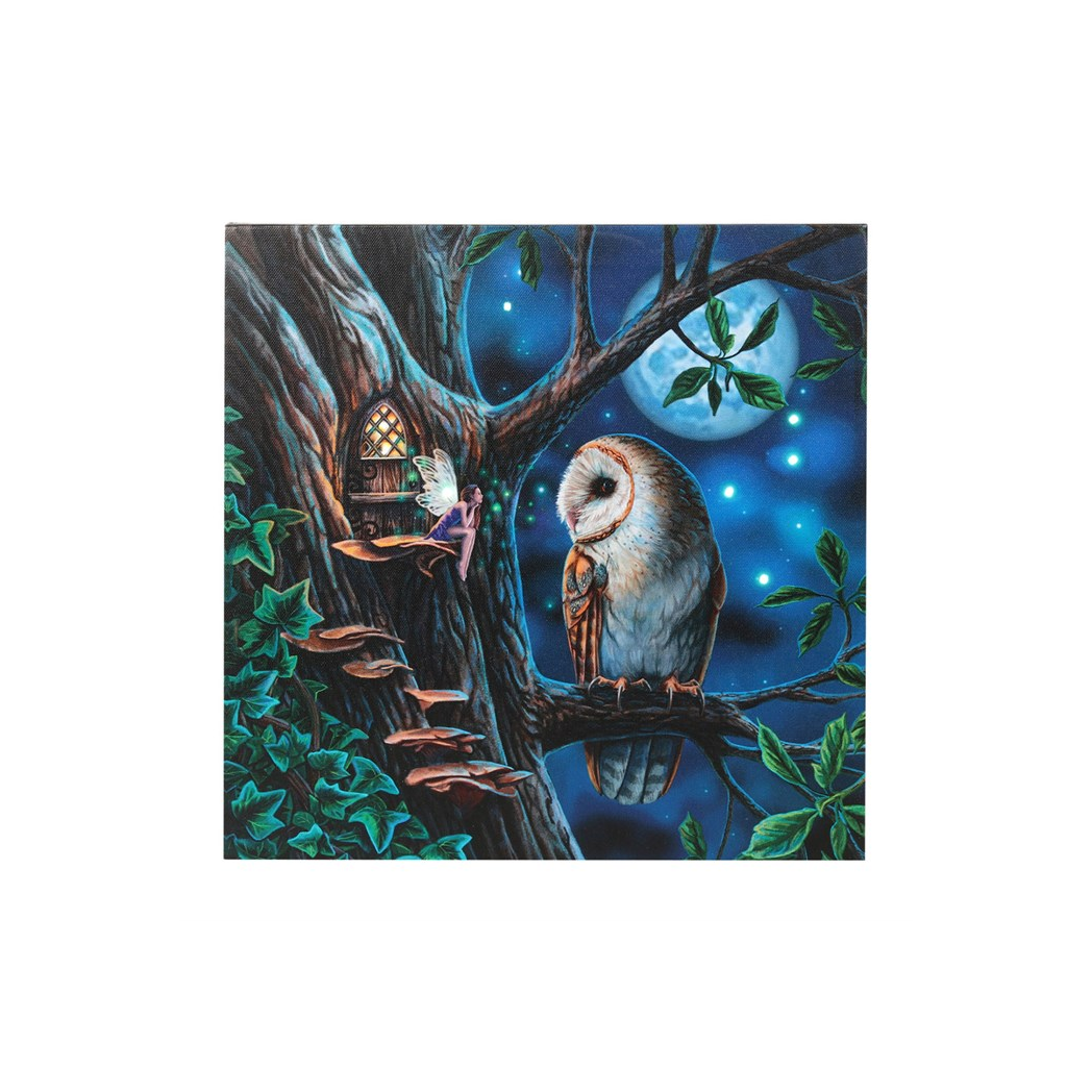 Fairy Tales Light Up Canvas Plaque by Lisa Parker
