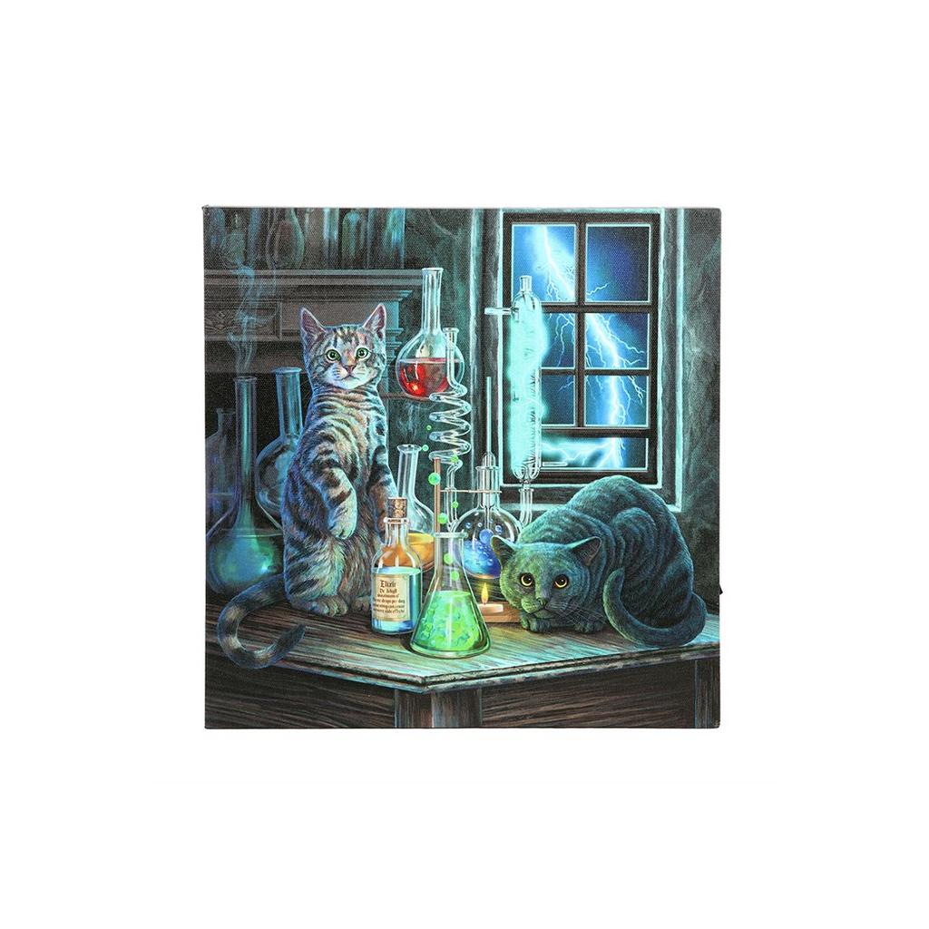 Jekyll and Hyde Light Up LED Canvas Plaque by Lisa Parker