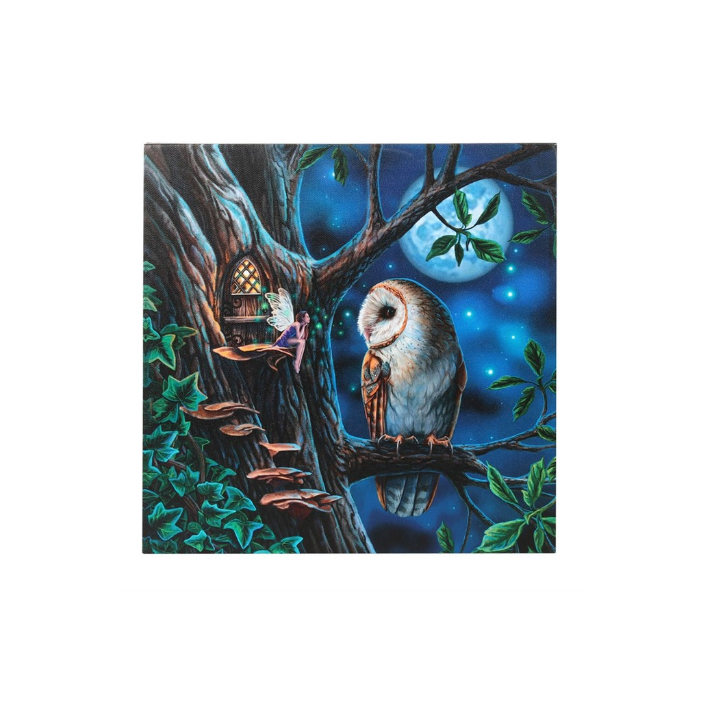 Fairy Tales Light Up Canvas Plaque by Lisa Parker