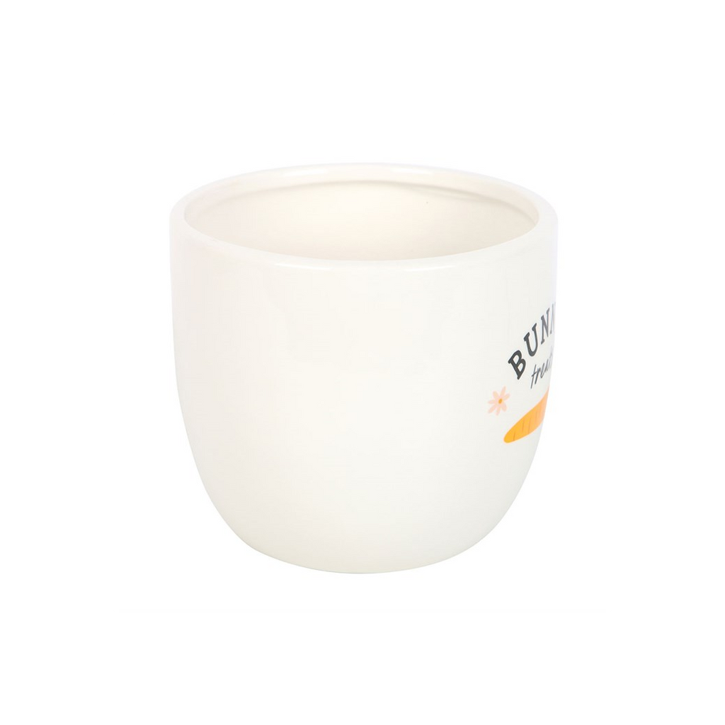 Bunny Treats Ceramic Pot