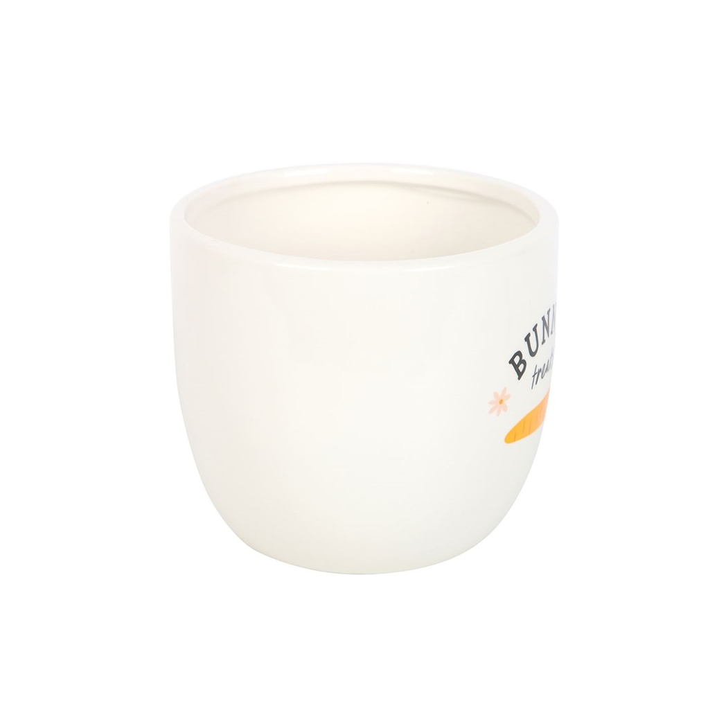 Bunny Treats Ceramic Pot