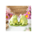 Luna Frog Salt and Pepper Shakers